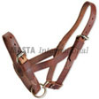 Stable Halter for Large Cow/Bull